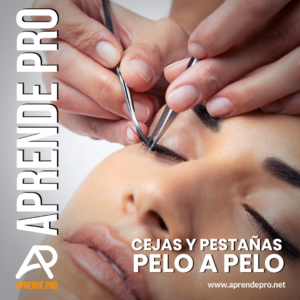 Cejas y Pestañas Pelo a Pelo