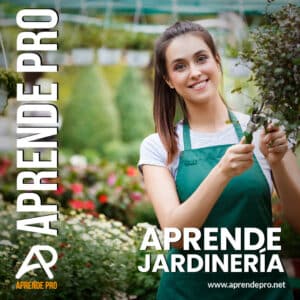 Aprende jardinería