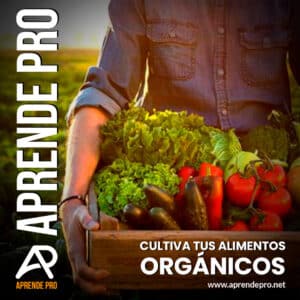 Cultiva tus Alimentos Orgánicos