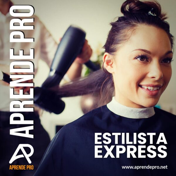 Estilista Express curso online