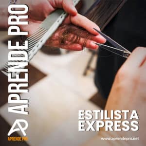 Curso Estilista Express