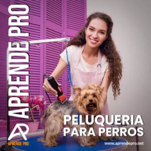 Curso Peluqueria para Perros