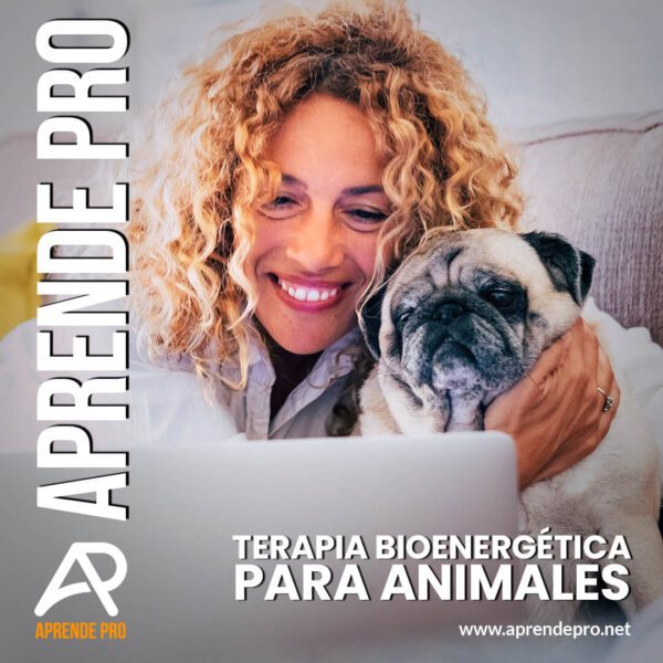 Terapia bioenergética para animales