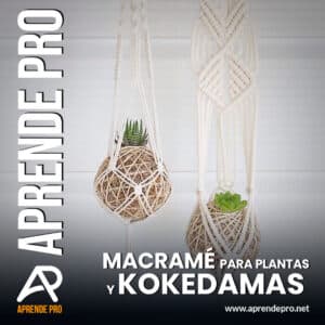 Macramé para Plantas y Kokedamas