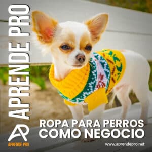 Confección de Ropa para Perros como Negocio