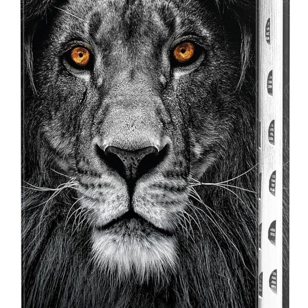 Biblia RVR 1960 letra grande tamaño manual, tapa dura León de Juda con índice / Spanish Bible RVR 1960 Handy Size Large Print Hardcover Lion of Judah with In (Spanish Edition)